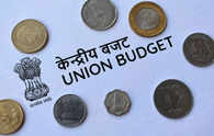 Budget 2024: Three types of Budgets in India and their meanings