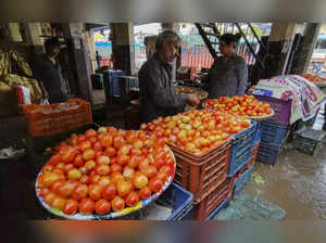 Navi Mumbai: A tomato vendor at the wholesale fruits and vegetables market at Va...