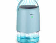 10 Best Dehumidifiers for Room that Facilitate a Healthy Environment