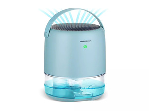 10 Best Dehumidifiers for Room that Facilitate a Healthy Environment