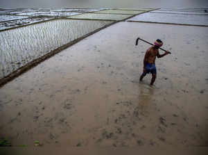 Climate India Monsoons
