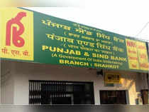 Punjab & Sind Bank plans to raise Rs 2,000 cr via QIP likely in H2 FY25