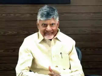 CM Naidu to raise budget-specific demands in meeting with PM, FM:Image