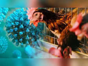 What is the H5N1 virus that is growingly rapidly? Here is everything you need to know