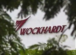 Wockhardt soars to 6-year high
