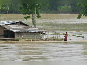 A villager carries bamboo through a flood-affected area after heavy rains in Nagaon district of India's Assam state on June 2, 2024.