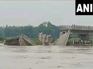 Portion of bridge over Bakra river collapses in Bihar's Araria