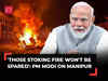 PM Modi on Manipur violence in Rajya Sabha: 'Those stoking fire won't be spared...'