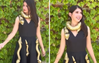 Google engineer wows internet with 'robotic Medusa dress' which is both creepy and cool