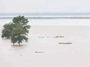 Flood situation in Assam's Nagaon continues to be grim, thousands leaving homes for safety