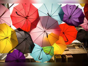 Best Folding / foldable Umbrellas