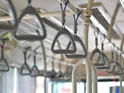 Buses