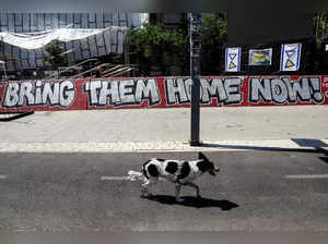 A dog walks next to a graffiti in support of hostages kidnapped during the deadly October 7 attack on Israel by Hamas, amid the ongoing Israel-Hamas conflict, in Tel Aviv