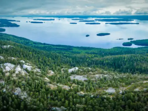Koli hills