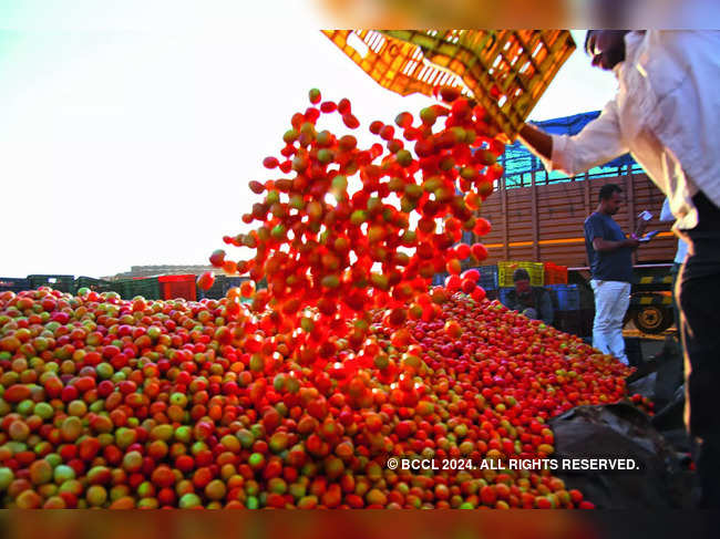 Intense Heat Leads to Rise in Tomato Prices