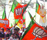 BJP's UP unit finding it difficult to defend some remarks by NDA allies