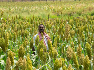 Budget 2024: Agriculture & FMCG sectors seek better infra & tech to help farmers tackle climate change, inflationary pressures:Image