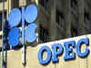 Oil steadies as OPEC keeps demand forecasts unchanged