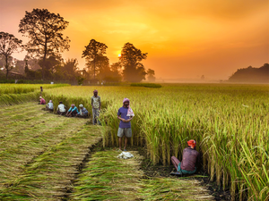 Budget 2024: Banks seek hike in interest subvention on farm loans:Image