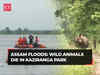 Assam floods: 159 wild animals, including nine rhinos dead in Kaziranga National Park