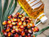 India June palm oil imports rise about 3% MoM