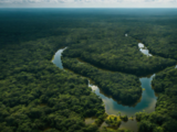 Bangladesh charges 26 for destruction of vast mangrove forest