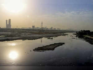 The Yamuna river