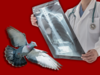 How pigeon exposure can cause irreparable disease. Here’s what you must know