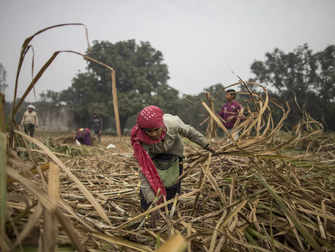 Budget needs to think about farmers to help India get to developed economy goal:Image
