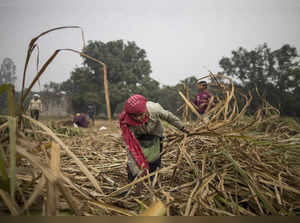 Farming Families Struggle On The Land As Farmers Attend Protests