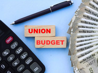 Analysing the impact of previous budgetary allocations on overall consumer business