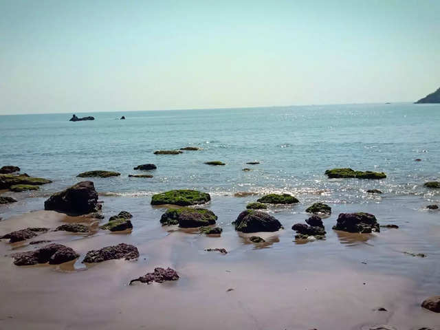 Shankarpur Beach (South 24 Parganas)