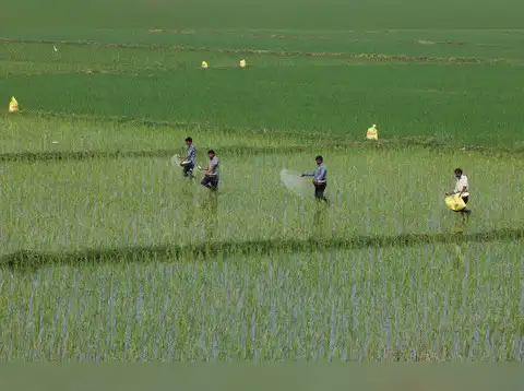 GNFC