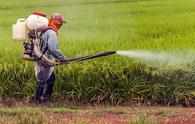 Proposal to increase customs duty to 20% on agrochemicals will hurt interests of farmers: Report