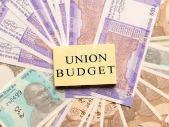 Budget survey: Best thing about India, one big missing trick & the reform everyone wants:Image