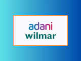Adani, Wilmar are said to weigh selling $670 million stake in JV