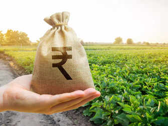 India's food subsidies to cost 11% more than initially planned?:Image