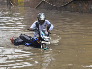 IMD rainfall