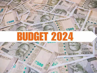 Propelling India's startup revolution will be a key Budget expectation:Image
