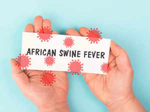 African-swine-virus