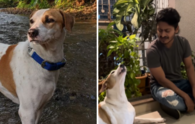 How a once abandoned dog became his owner's singing companion? Watch the inspiring video