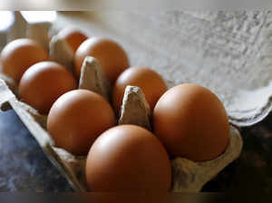 FILE PHOTO: Brown eggs are shown in their carton in a home in Palm Springs, California