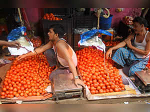 Tomato rates surge to Rs 90/kg in Delhi markets as supplies hit due to rains