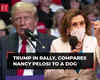 Donald Trump mocks Democrats in campaign rally; calls Kamala Harris 'crazy', compares Nancy Pelosi to a dog