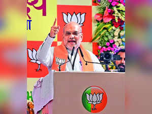No Need to be Despondent: Shah to BJP Workers
