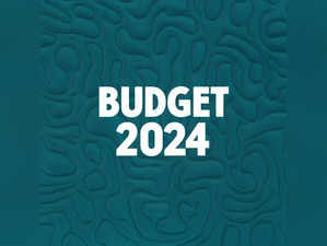 Union Budget 2024: What mutual fund investors expect from FM Nirmala Sitharaman's Budget:Image