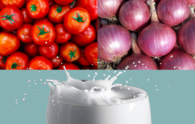 Why are tomato, onion, milk prices rising across India? Economic Survey 2024 explains 