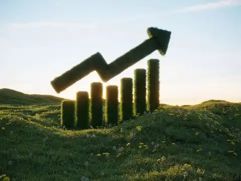 Green transition