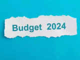 Budget for world's fastest-growing economy: Key numbers to be watched 1 80:Image