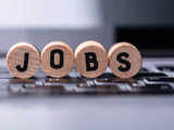 Economic Survey 2024: Jobs key to unlocking demographic dividend 1 80:Image